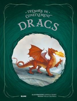 TRESORS CONEIXEMENTS. DRACS | 9791387881207 | KENNY, GONZALO/CALDWELL, STELLA