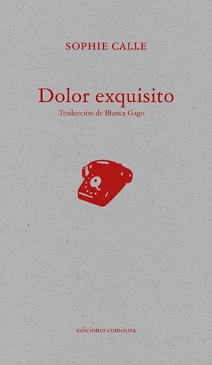 DOLOR EXQUISITO | 9788409828937 | CALLE, SOPHIE