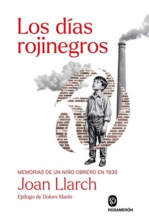 LOS DÍAS ROJINEGROS | 9791399206227 | LLARCH, JOAN