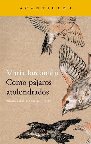COMO PÁJAROS ATOLONDRADOS | 9788419036704TA | IORDANIDU, MARIA
