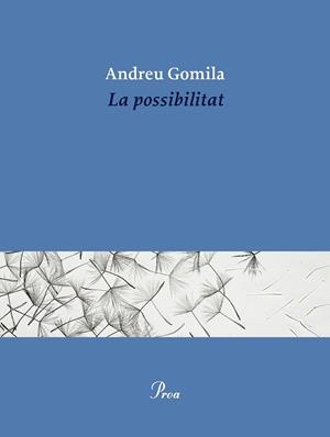 LA POSSIBILITAT | 9791388369155 | GOMILA LLOBERA, ANDREU